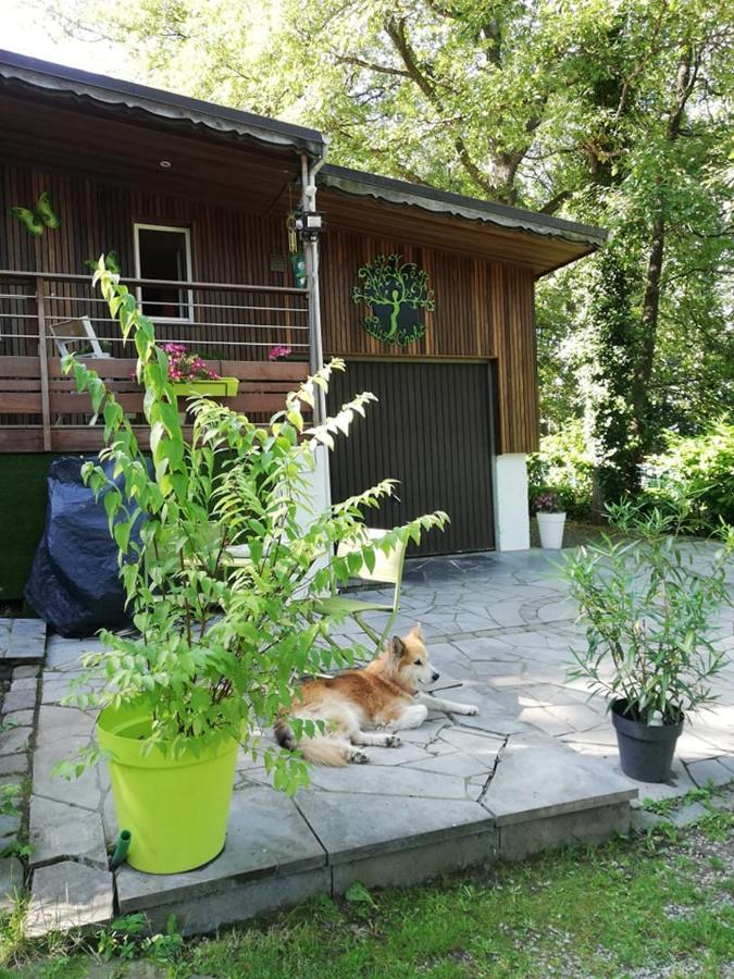 Titi'S Chalet Durbuy Exteriér fotografie